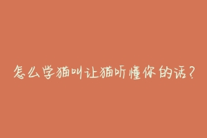 怎么学猫叫让猫听懂你的话?