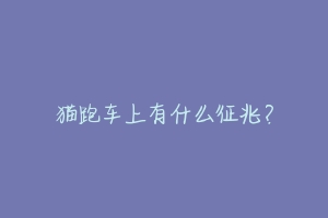 猫跑车上有什么征兆?