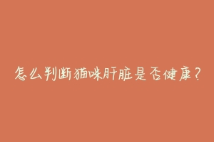 怎么判断猫咪肝脏是否健康?