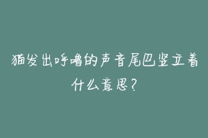 猫发出呼噜的声音尾巴竖立着什么意思?