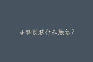 小猫皮肤什么颜色?