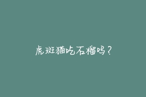 虎斑猫吃石榴吗？