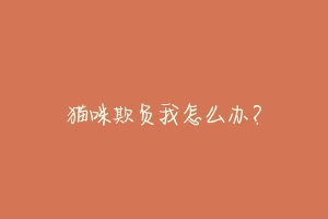 猫咪欺负我怎么办?