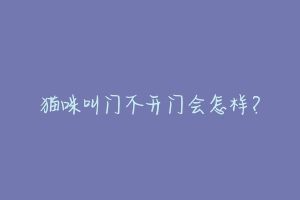 猫咪叫门不开门会怎样?