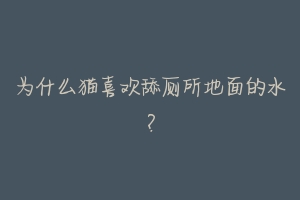为什么猫喜欢舔厕所地面的水?