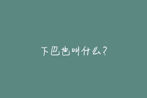 下巴也叫什么?