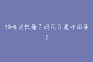 猫咪突然瘦了好几斤是咋回事?