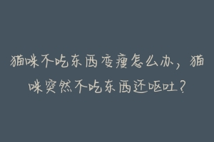 猫咪不吃东西变瘦怎么办,猫咪突然不吃东西还呕吐?