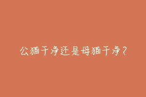 公猫干净还是母猫干净?