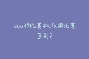 cca猫比赛和cfa猫比赛区别?