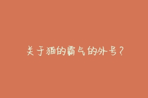 关于猫的霸气的外号?