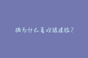 猫为什么喜欢被揉脸?