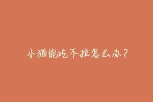 小猫能吃不拉怎么办?