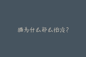 猫为什么那么怕冷?