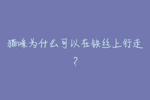 猫咪为什么可以在铁丝上行走?