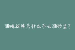 猫咪拉稀为什么不去猫砂盆?