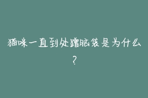 猫咪一直到处蹭脑袋是为什么?