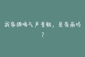 我家猫喘气声音粗,是有病吗?