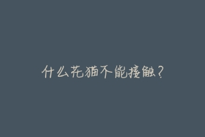 什么花猫不能接触?