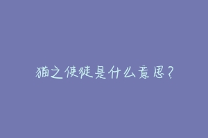猫之使徒是什么意思?