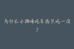 为什么小猫咪吃东西只吃一次?
