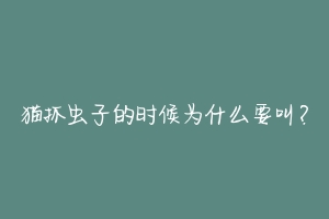 猫抓虫子的时候为什么要叫？