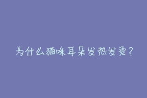为什么猫咪耳朵发热发烫?
