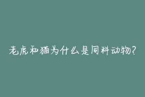 老虎和猫为什么是同科动物?