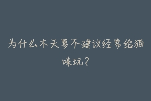 为什么木天蓼不建议经常给猫咪玩?