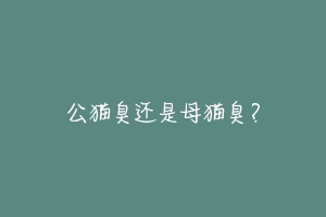 公猫臭还是母猫臭?