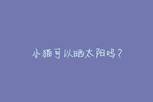 小猫可以晒太阳吗?