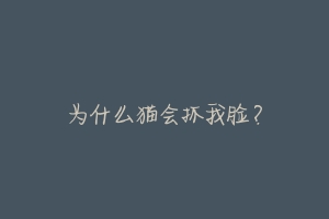为什么猫会抓我脸?