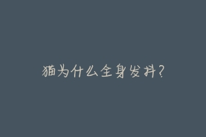 猫为什么全身发抖?