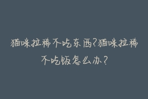 猫咪拉稀不吃东西?猫咪拉稀不吃饭怎么办?