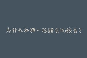 为什么和猫一起睡会比较香?