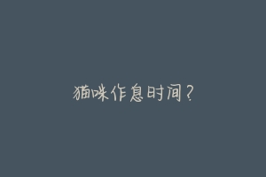 猫咪作息时间?