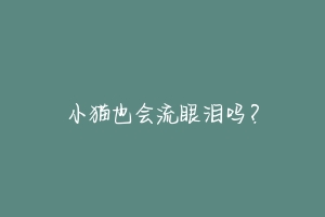 小猫也会流眼泪吗?
