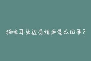 猫咪耳朵边有结痂怎么回事?