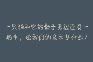 一只猫和它的影子旁边还有一把伞,给我们的启示是什么?