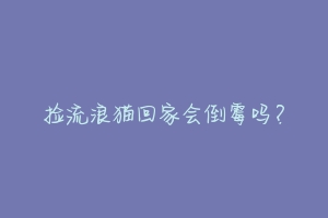 捡流浪猫回家会倒霉吗?