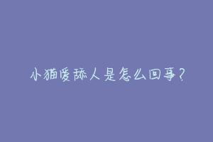 小猫爱舔人是怎么回事?