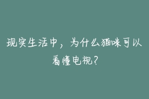 现实生活中，为什么猫咪可以看懂电视？