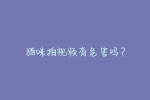 猫咪拍视频有危害吗?