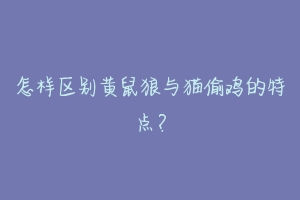 怎样区别黄鼠狼与猫偷鸡的特点?