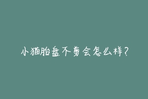 小猫胎盘不剪会怎么样?