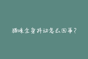 猫咪全身抖动怎么回事?