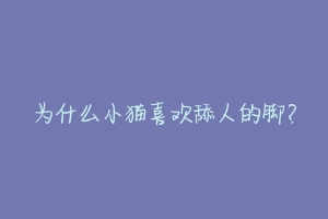 为什么小猫喜欢舔人的脚？