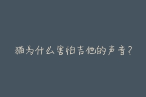 猫为什么害怕吉他的声音?