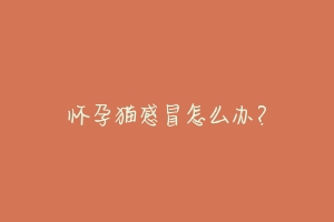 怀孕猫感冒怎么办?