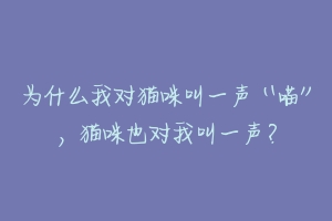 为什么我对猫咪叫一声“喵”,猫咪也对我叫一声?